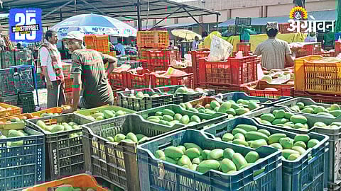 Mango Market