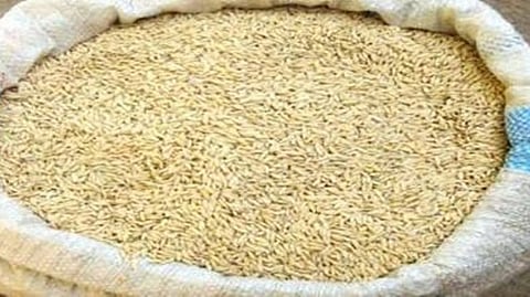 Nashik Paddy Scam