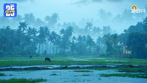 Monsoon