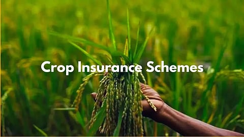 Crop Insurance Company