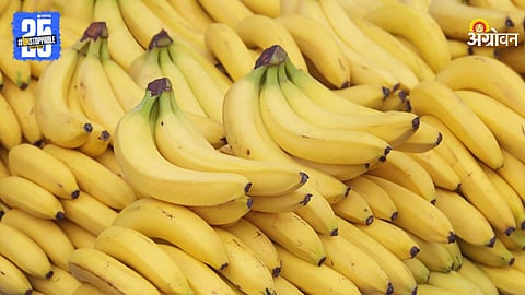 Banana Market