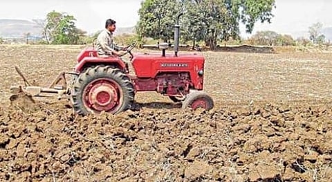 Agricultural Cultivation