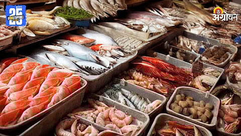 Fish Market