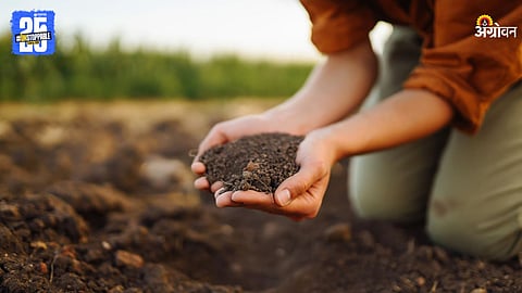 Soil