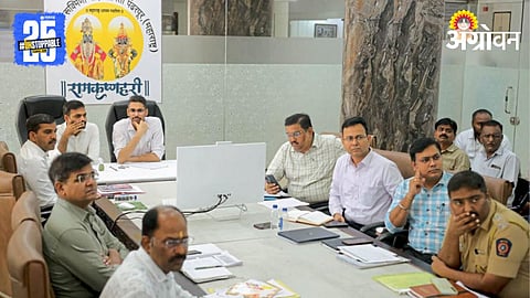 Aashadhi Ekadashi Planning 