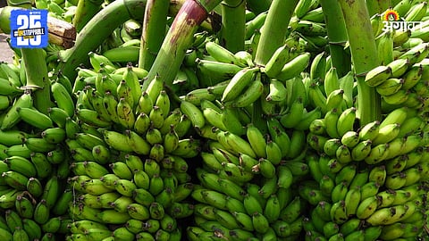 Banana