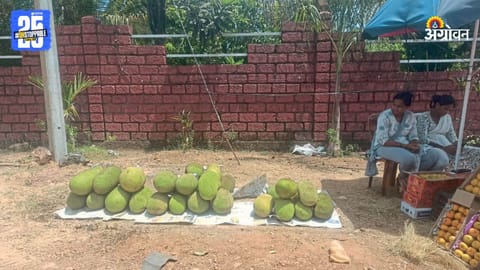 Jackfruit