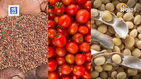 Value Chain