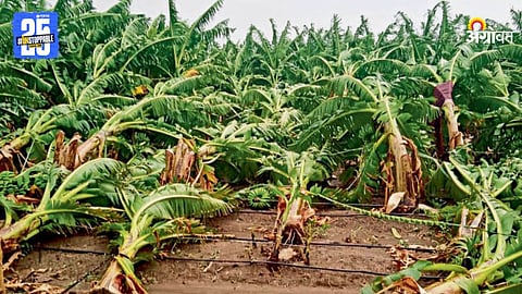 Crop Damage