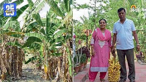 Farmer Success