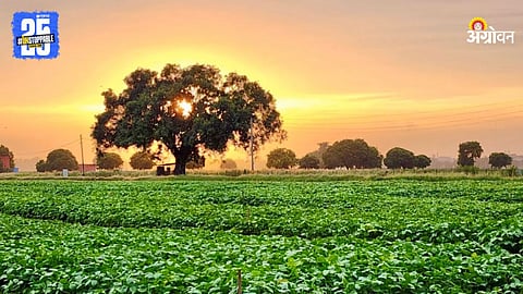 Indian Agriculture