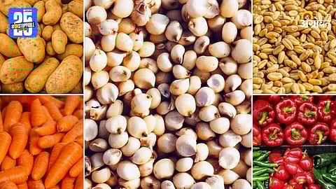 Agriculture Products