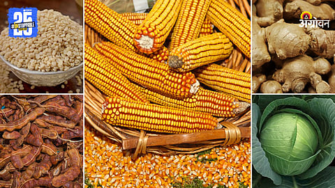 Agriculture Products