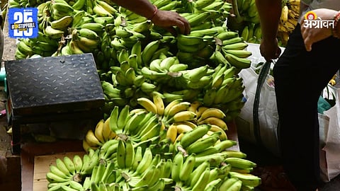Banana Market