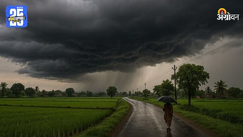 Monsoon