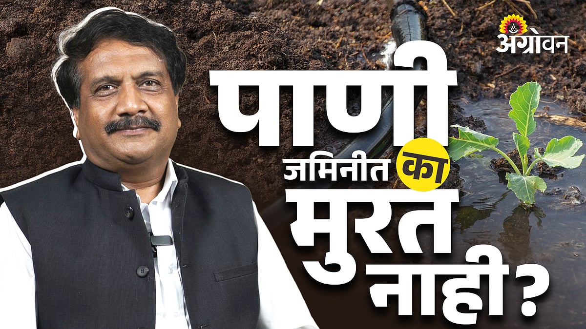 Soil compaction problems: पाणी जमिनीत का मुरत नाही? |Why Water Does Not ...