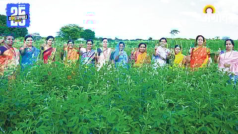 Sustainable Farming Models