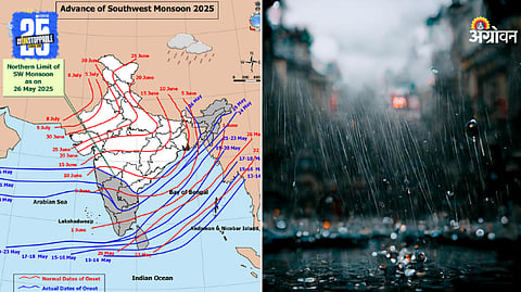 Rain Forecast