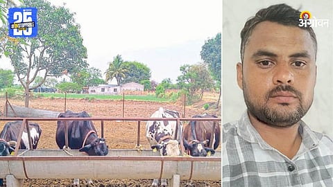Dairy Farming