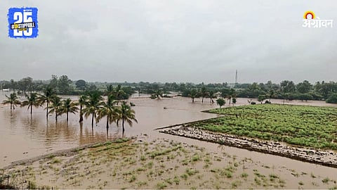 Monsoon Rain