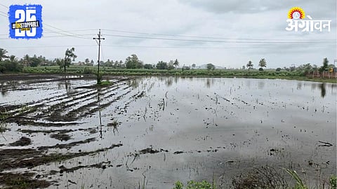 Crop Damage
