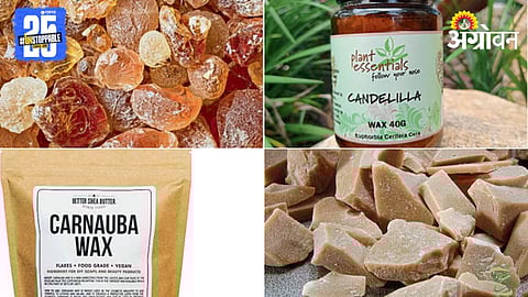 Fruit Wax Coating 