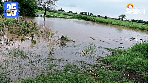 Crop Damage