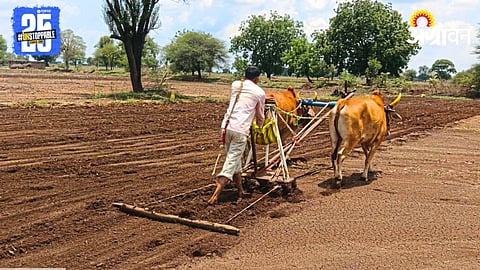 Kharif Sowing