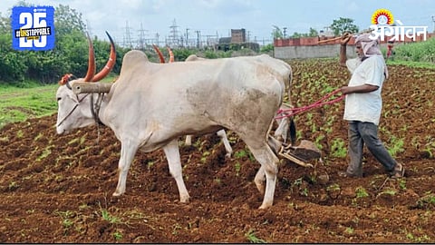 Kharif Season