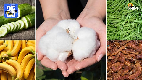 Agriculture Market Products