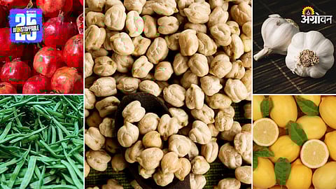 Agriculture Market Products