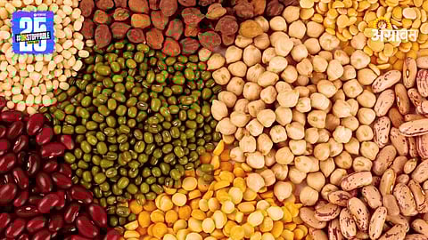 Agriculture Seeds