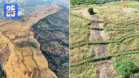 Environmental Conservation