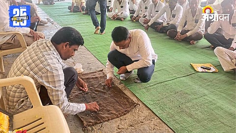 Seed Germination Test