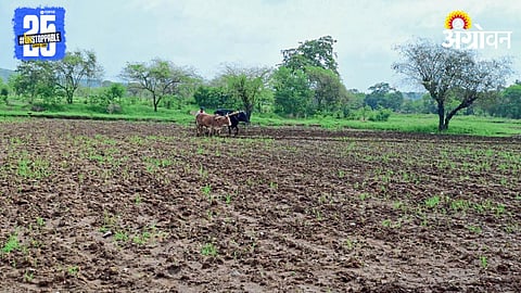 Kharif Season
