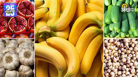 Agriculture Market Product
