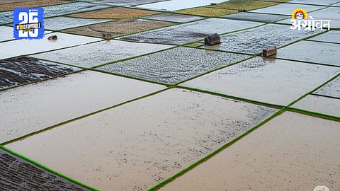 Crop Damage