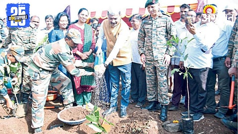 Tree Plantation