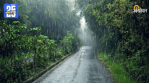 Monsoon Rain