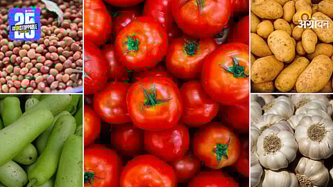 Agriculture Market Products