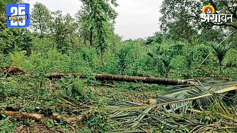 Crop Damage