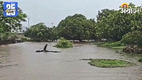 Heavy Rain
