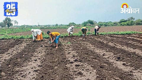 Kharif Sowing