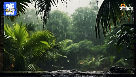 Maharashtra Rain
