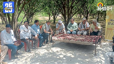 Orange Tango Variety