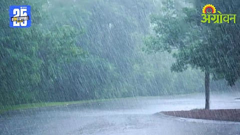 Heavy Rainfall 
