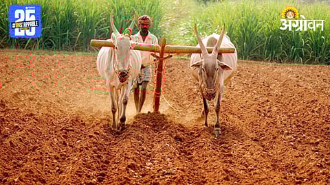 Indian Agriculture