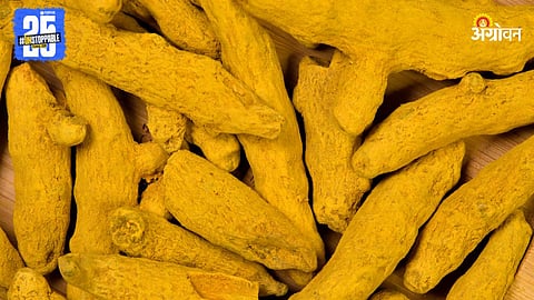 Turmeric