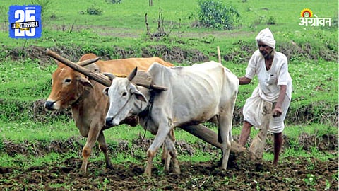Indian Farmer