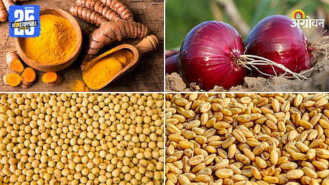 Agriculture Market Products